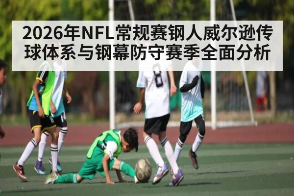 2026年NFL常规赛钢人威尔逊传球体系与钢幕防守赛季全面分析（leyu）